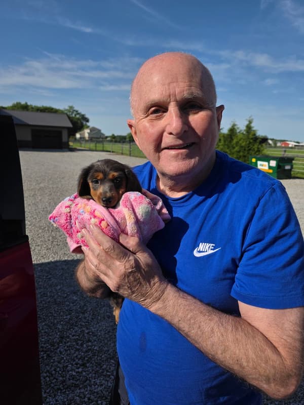 Customer photo of Dachshund, Mini puppy from Thomas M.