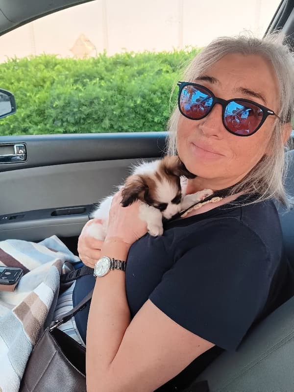 Customer photo of Papillon puppy from Olga M.