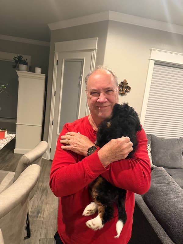 Customer photo of Bernedoodle, Mini puppy from Lance H.
