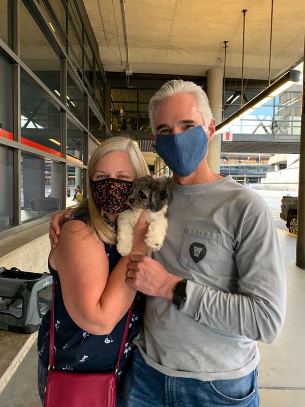 Customer photo of Cockachon puppy from Katie R.