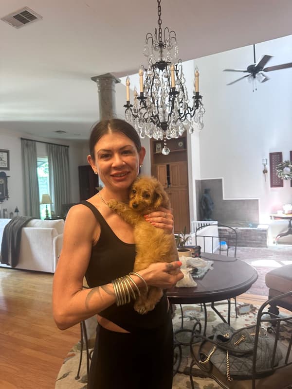 Customer photo of Malti Poo - Maltipoo puppy from Nicole B.