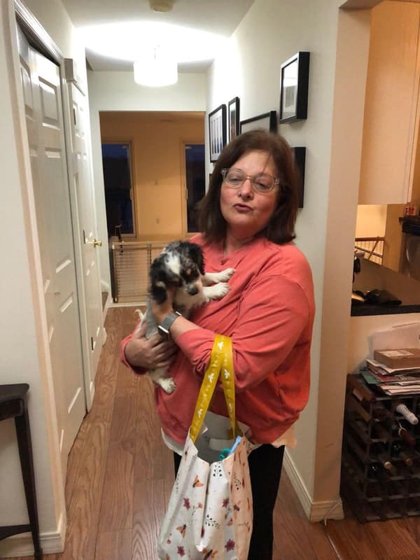 Customer photo of Cockachon puppy from Regina R.