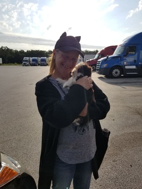 Customer photo of Havanese puppy from SueAnn W.