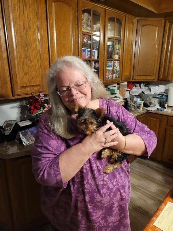 Customer photo of Yorkshire Terrier - Yorkie puppy from Pat B.