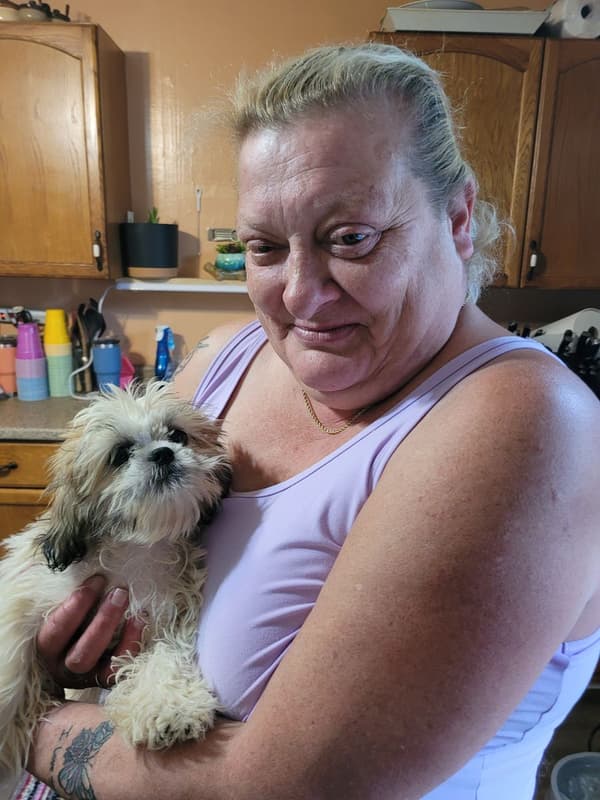 Customer photo of Shih Tzu puppy from Paul G.