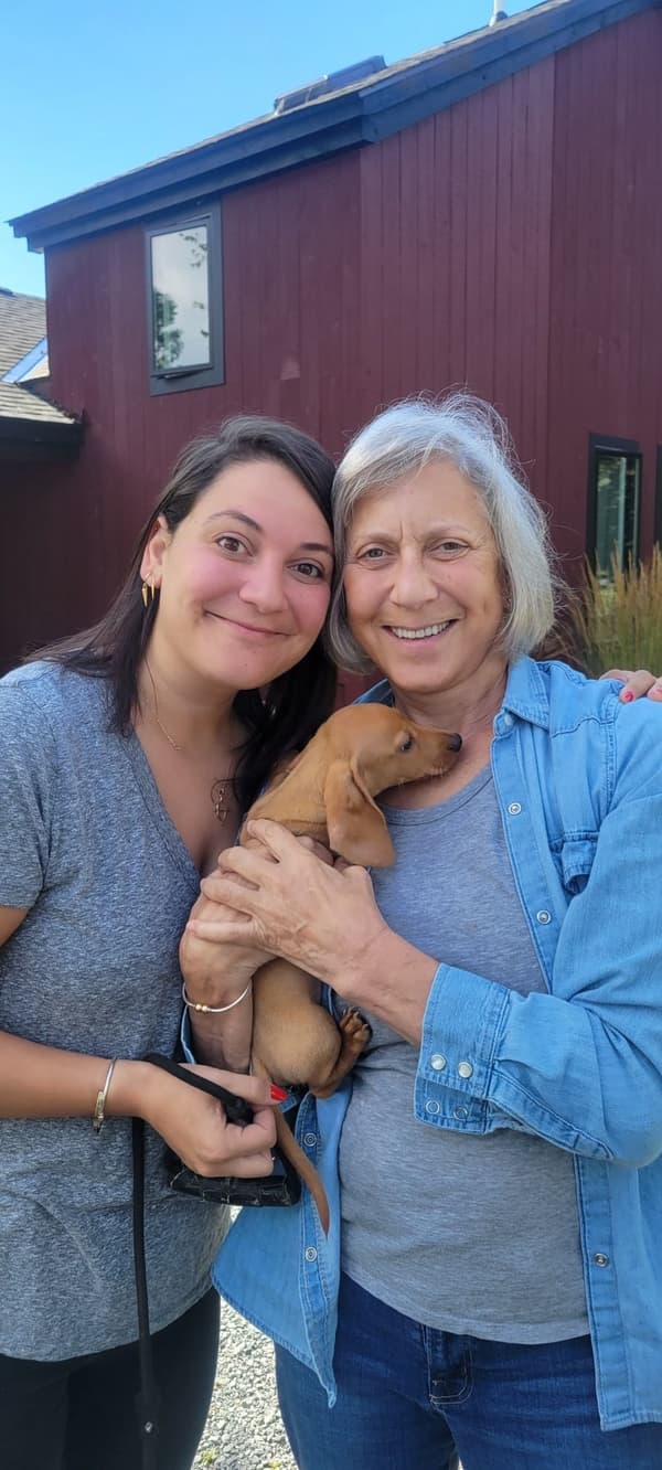 Customer photo of Dachshund puppy from Lori B.