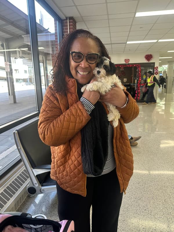 Customer photo of Yorkshire Terrier - Yorkie puppy from Cynthia B.