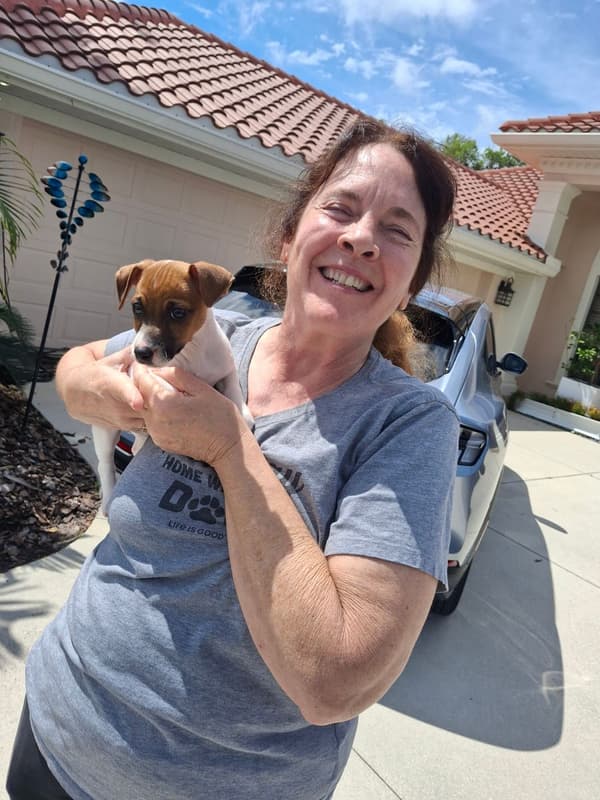 Customer photo of Jack Russell Terrier puppy from Dennis C.