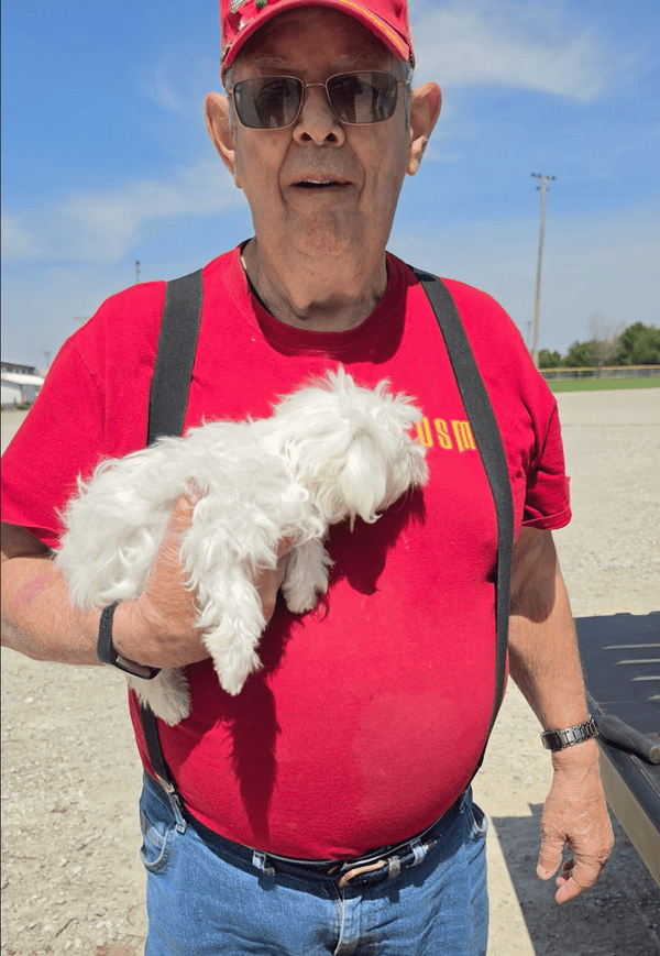 Customer photo of Maltese puppy from Edward H.