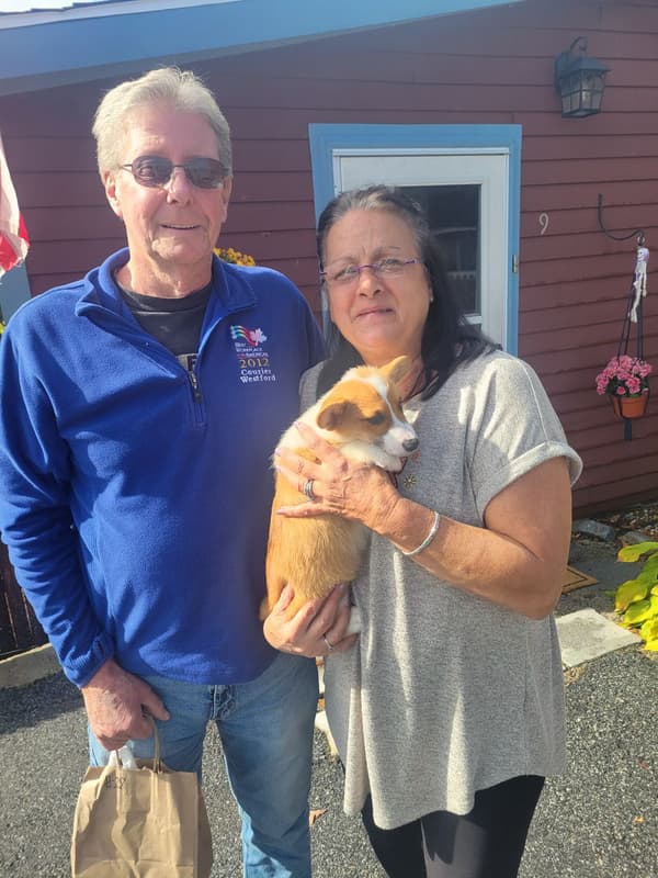 Customer photo of Corgi, Pembroke Welsh puppy from James T.