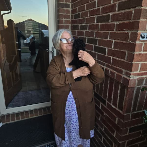 Customer photo of Poodle, Miniature puppy from Roxann T.