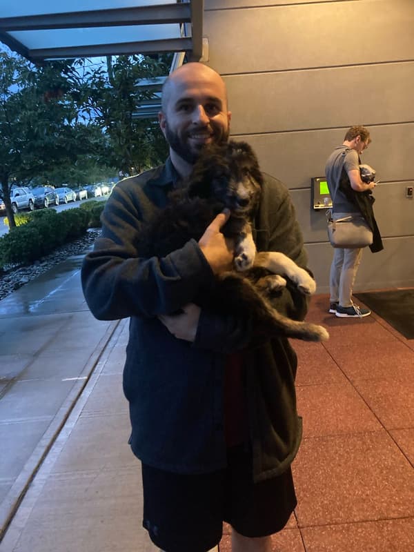 Customer photo of Bordoodle puppy from Cameron S.