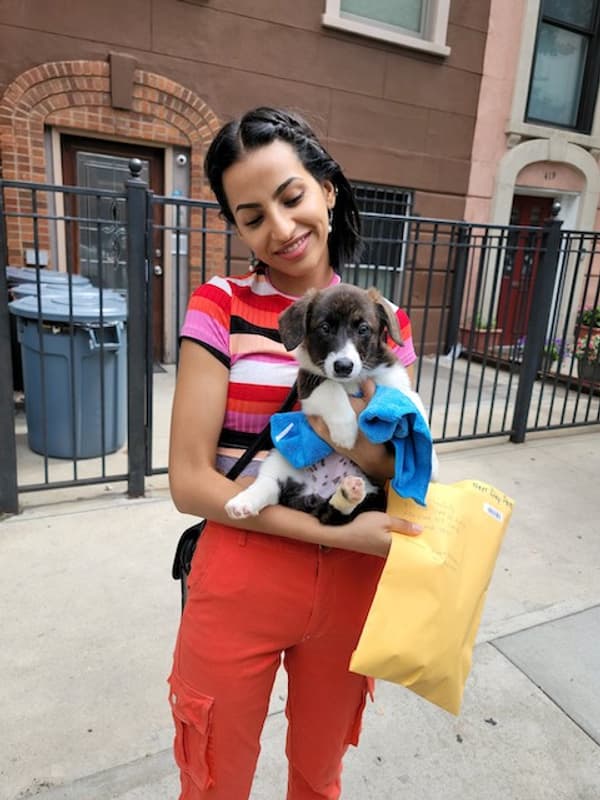 Customer photo of  puppy from Imane K.