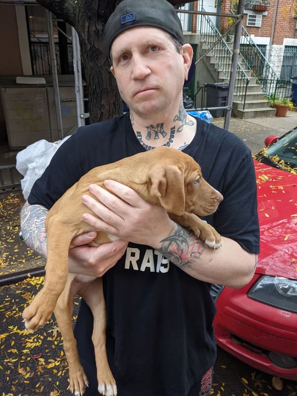 Customer photo of American Pit Bull Terrier puppy from Chris Z.