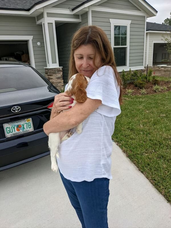 Customer photo of Cavalier King Charles Spaniel puppy from Clare P.