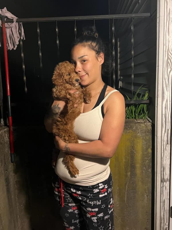 Customer photo of Poodle, Miniature puppy from Jessica R.