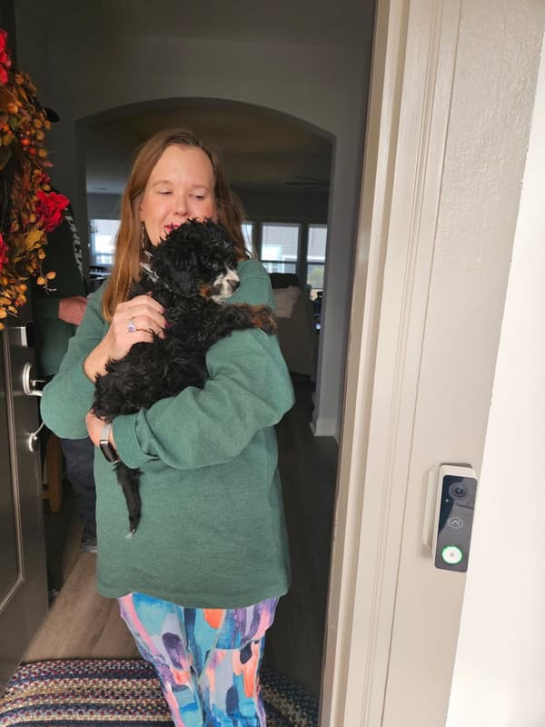 Customer photo of Bernedoodle, Mini puppy from Tami L.