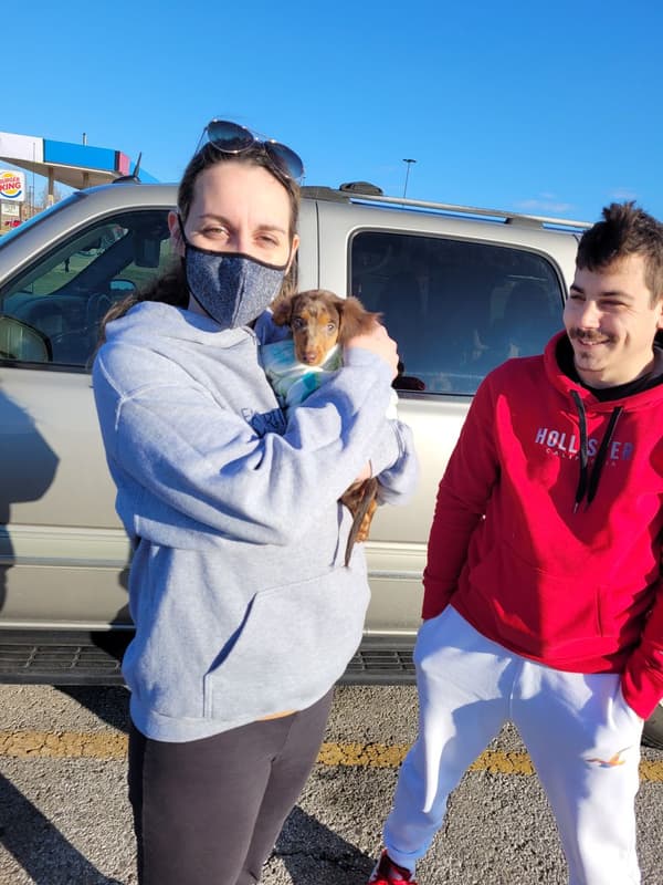 Customer photo of Dachshund, Mini puppy from Jessica R.