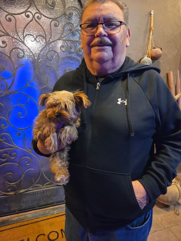 Customer photo of Yorkshire Terrier - Yorkie puppy from Robert P.