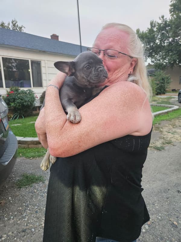 Customer photo of French Bulldog puppy from Julie S.