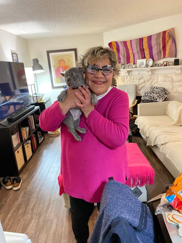 Customer photo of French Bulldog puppy from Luly A.