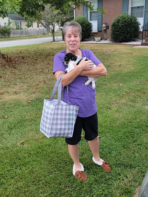 Customer photo of Poma-Poo - Pomapoo puppy from Vicki A.