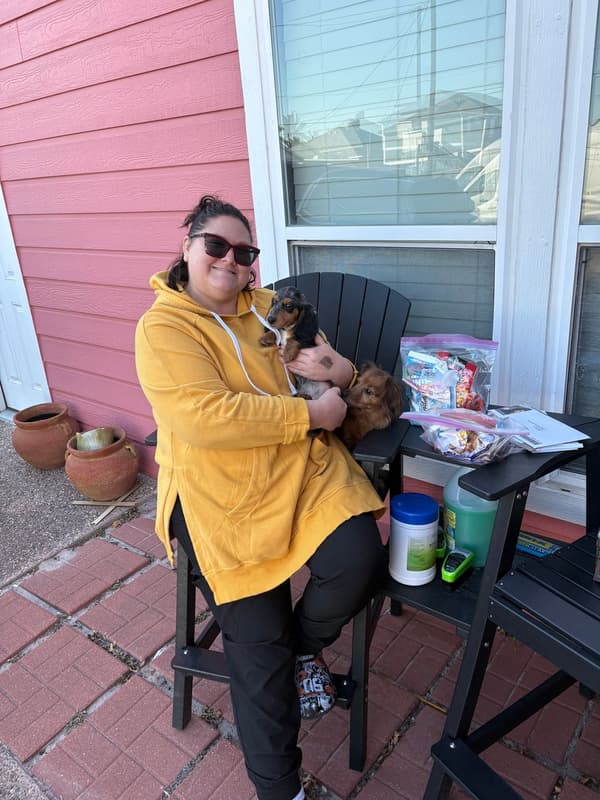 Customer photo of Dachshund puppy from Jessica S.