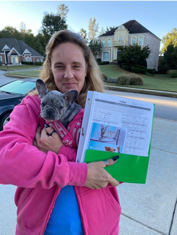 Customer photo of French Bulldog puppy from Karlee S.