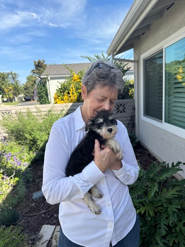 Customer photo of Schnauzer, Miniature puppy from Heather L.