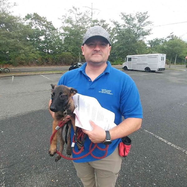 Customer photo of Belgian Malinois puppy from Michal V.