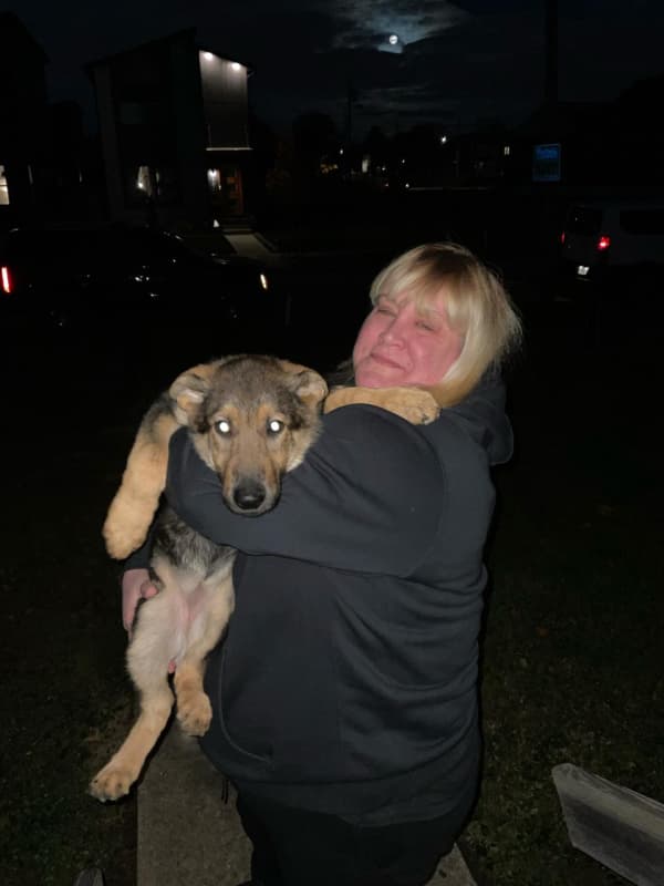 Customer photo of German Shepherd puppy from Eleanora V.