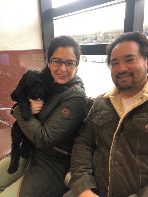 Customer photo of Labradoodle puppy from Shristi S.