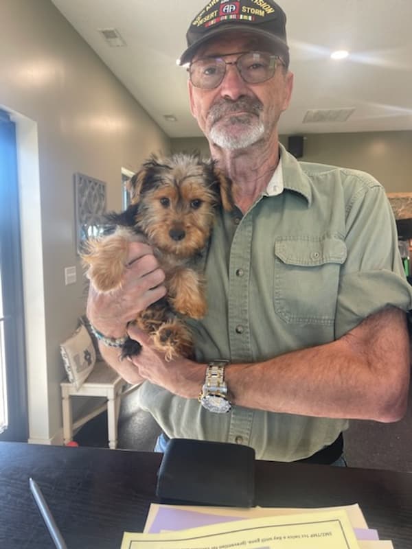 Customer photo of Yorkshire Terrier - Yorkie puppy from Mark R.