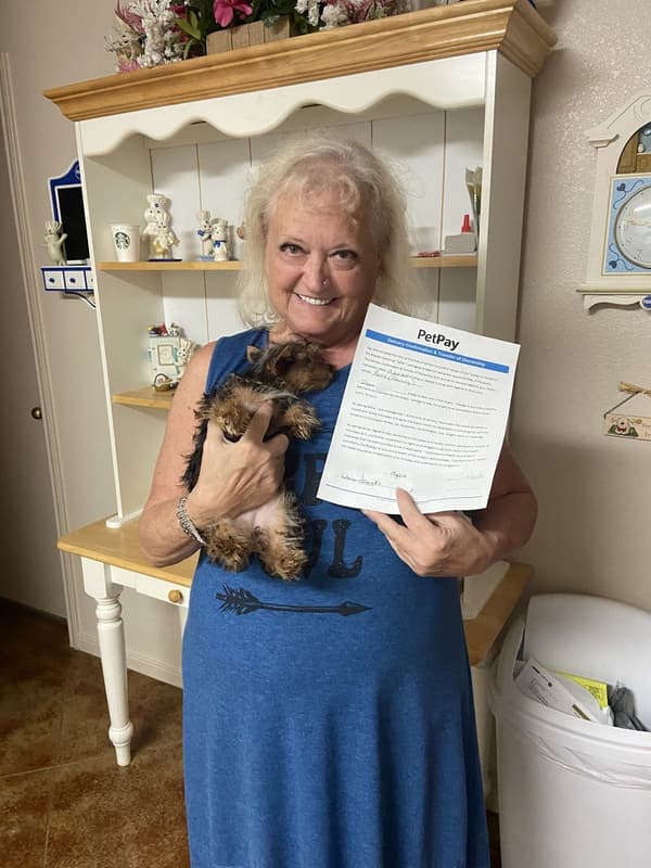 Customer photo of Yorkshire Terrier - Yorkie puppy from Diane F.