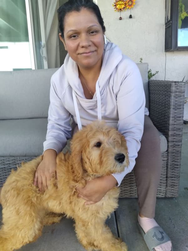 Customer photo of Goldendoodle puppy from Angie M.