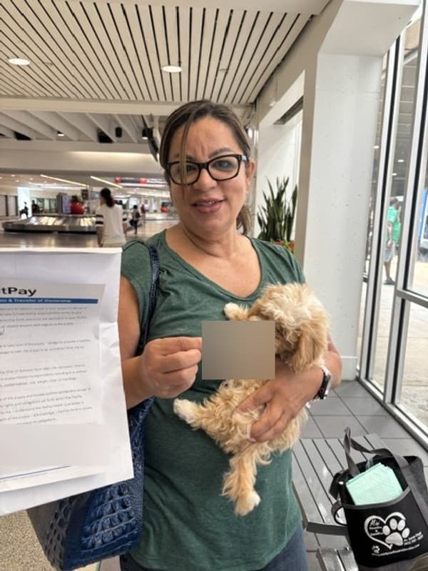 Customer photo of Malti Poo - Maltipoo puppy from Lydia L.