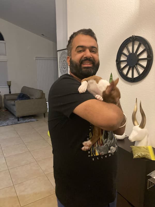 Customer photo of Boston Terrier puppy from pargat D.