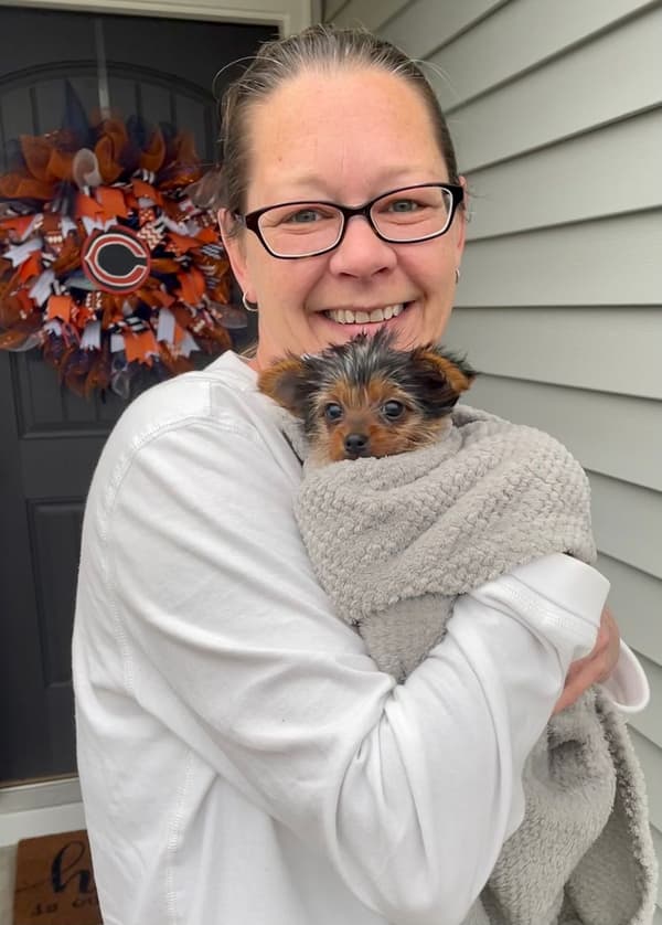 Customer photo of Yorkshire Terrier - Yorkie puppy from Kelly H.