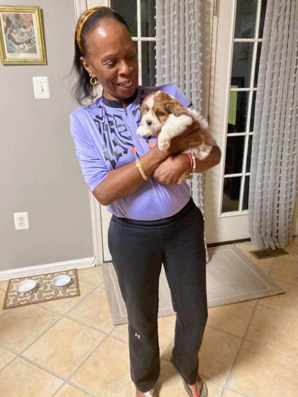 Customer photo of Cockapoo puppy from Dellena C.