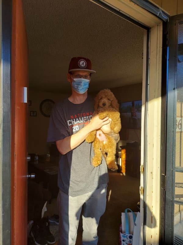 Customer photo of Goldendoodle puppy from Justin H.
