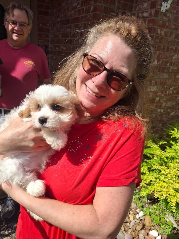 Customer photo of Cavachon puppy from Deborah O.