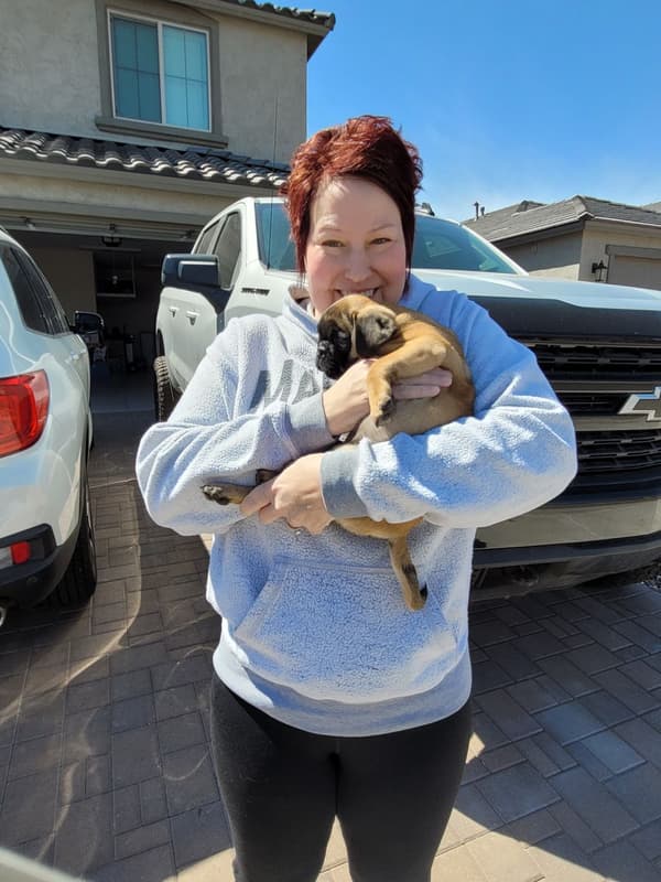 Customer photo of Pug puppy from Kalee W. 