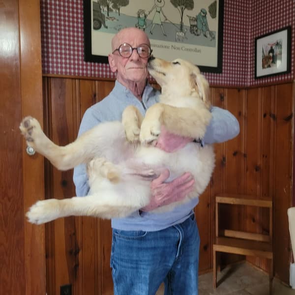 Customer photo of Golden Retriever puppy from Charles H.