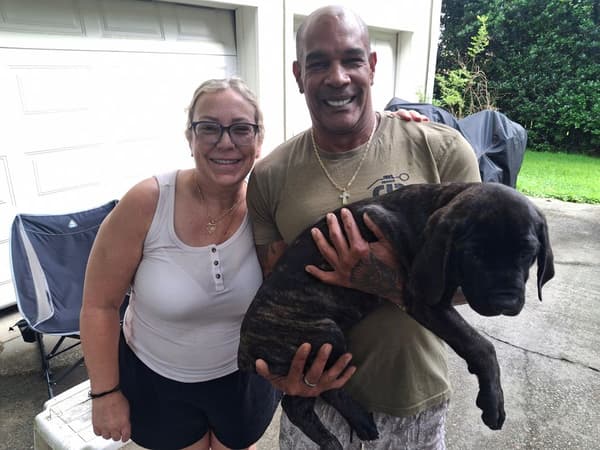 Customer photo of Cane Corso Mastiff puppy from Susan B.