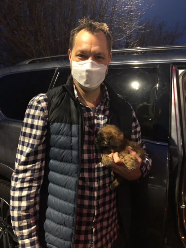 Customer photo of Shih-Poo - Shihpoo puppy from Amelia F.