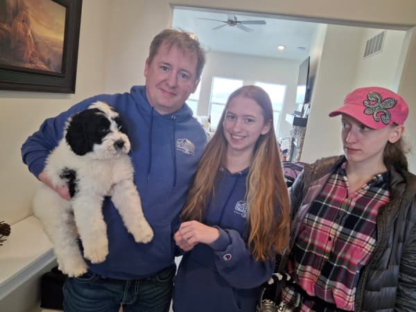 Customer photo of Portuguese Water Dog puppy from Todd F.