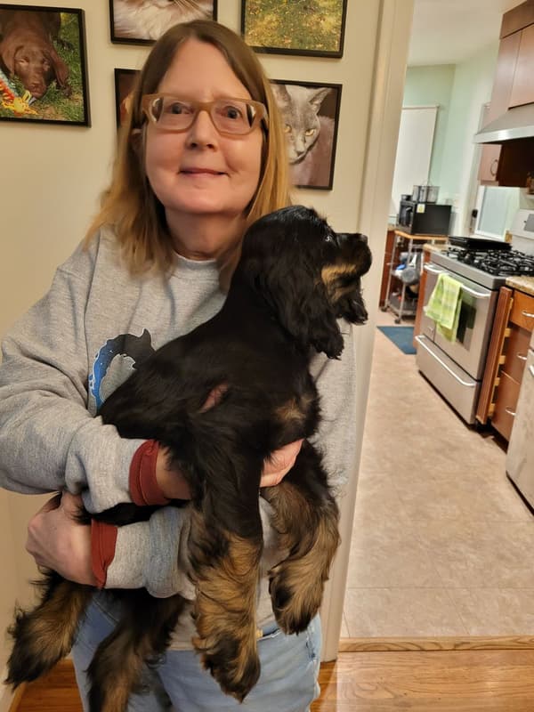 Customer photo of Cocker Spaniel puppy from Jan R.