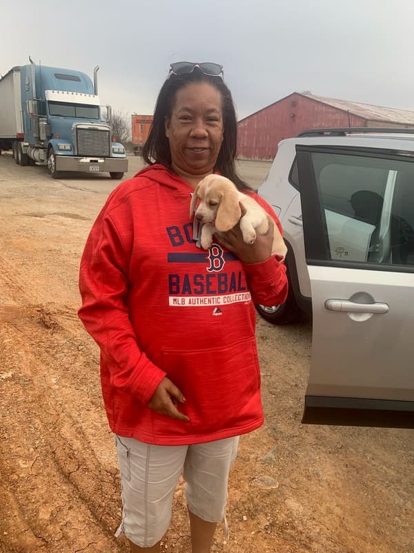 Customer photo of Beagle puppy from Dawn J.