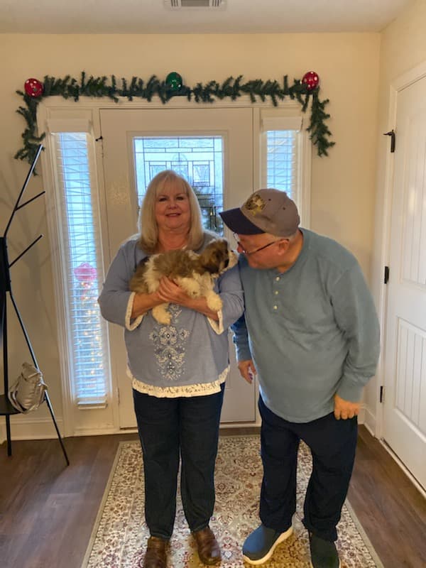 Customer photo of Shih Tzu puppy from Deborah W.