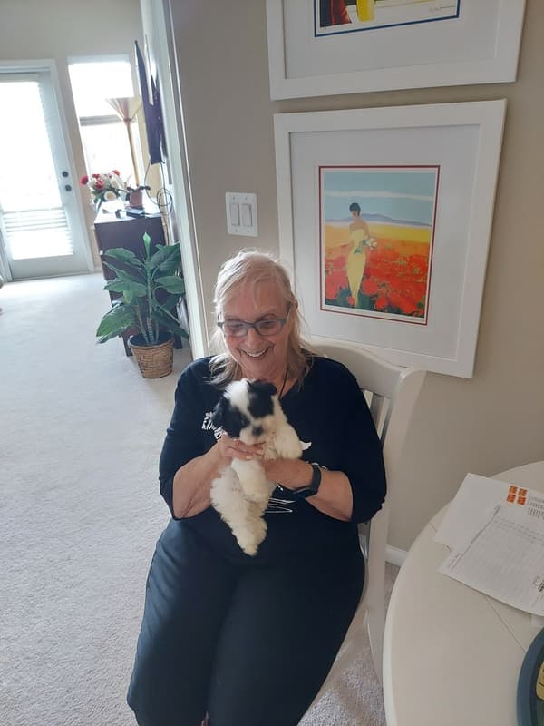 Customer photo of Havanese puppy from Judy H.